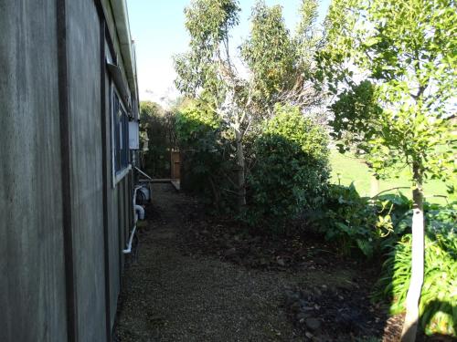 a side walk next to a house with a tree at Kauri Lodge Karapiro in Karapiro