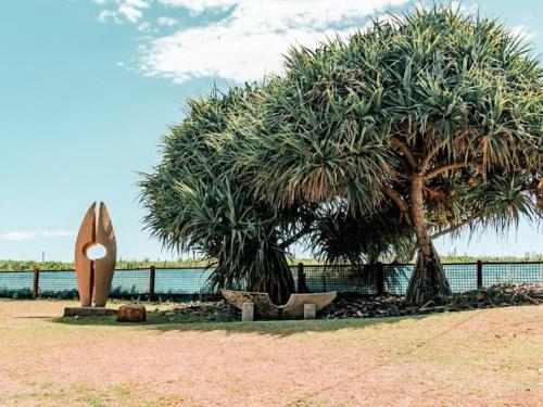 a large tree and a surfboard in a park at Tropic Court Beach Escape in Coffs Harbour
