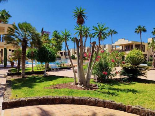 德尔锡伦西奥海岸Paraiso Tagoro Park的度假村内有棕榈树的公园