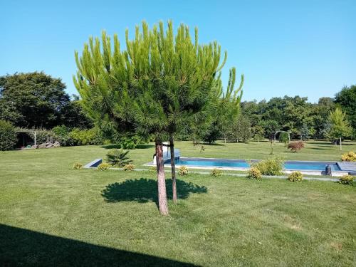 Zahrada ubytování chambre privée bleue avec piscine