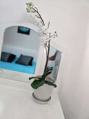 une plante dans un vase blanc sur une table dans l'établissement Séjour à Orly à 12 minutes d'Orly Airport et de Paris 14ème - AUX REFLETS PASTELS, à Orly
