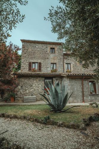 a stone house with a plant in front of it at Casa Ferrone in Orvieto
