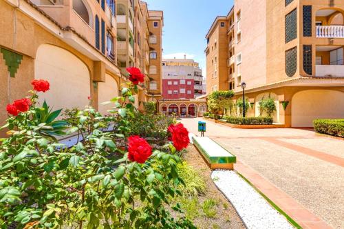 Sunny Apartment in Torrevieja