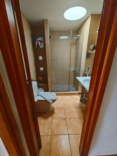 a bathroom with a shower and a toilet and a sink at Mirador de Las Salinas in Los Cancajos