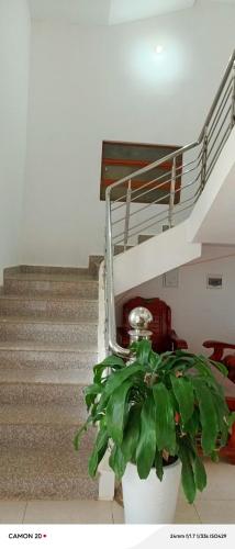 a plant in a white pot next to a staircase at Night Market Heart Hotel MC in Mộc Châu