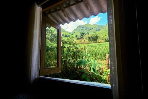 a window with a view of a field of crops at Sa Moc - La Maison House & Bungalow in Sa Pa