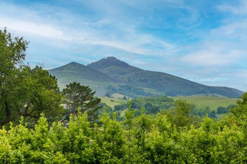 a mountain in the distance with trees in the foreground at Bordazaharria in Espelette