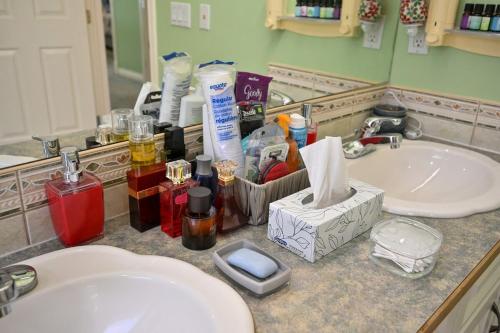 a bathroom counter with a sink and a mirror at 48a Luxury Lake Home W Massage Meditation Gym Ac in Calgary
