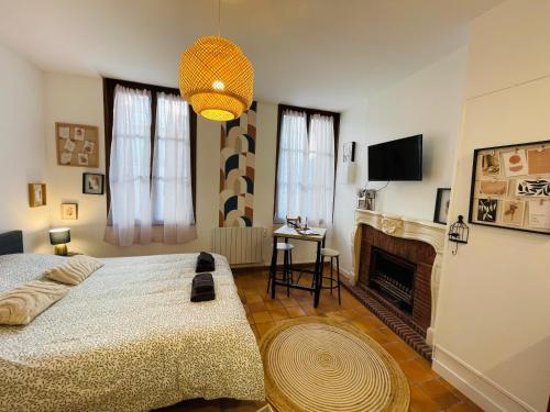 a bedroom with a large bed and a fireplace at Les Remparts, 5min du ZooParc in Saint-Aignan