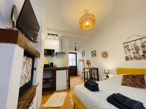 a room with a bed and a tv on a wall at Les Remparts, 5min du ZooParc in Saint-Aignan