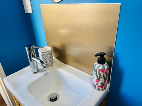 a bathroom sink with a vase sitting on it at Les Remparts, 5min du ZooParc in Saint-Aignan