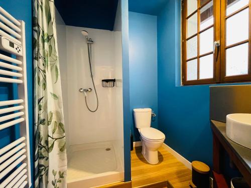 a bathroom with a toilet and a shower at Les Remparts, 5min du ZooParc in Saint-Aignan