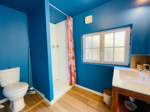 a blue bathroom with a toilet and a shower at Les Remparts, 5min du ZooParc in Saint-Aignan