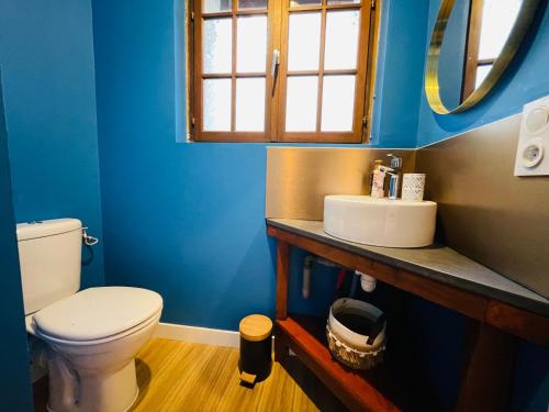 a blue bathroom with a toilet and a sink at Les Remparts, 5min du ZooParc in Saint-Aignan