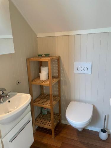a bathroom with a toilet and a sink at Modern Fishermans Cabin in Ballstad