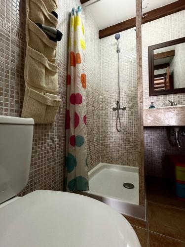a bathroom with a shower and a toilet and a tub at Casa Checa Apartment 3 in El Cotillo
