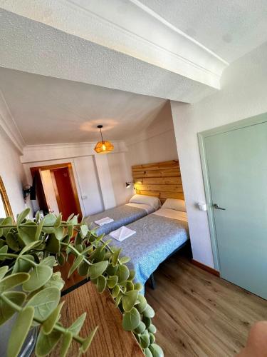 Hostal Atuaire Home en el centro de Burgos