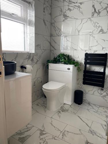 a bathroom with a toilet with a plant on it at Sunny Bank in Holsworthy
