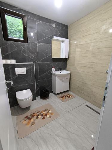 a bathroom with a toilet and a sink at Villa Bellissima in Bihać