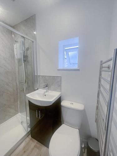 a bathroom with a toilet and a sink and a shower at Britannia Road in Great Yarmouth