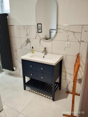 une salle de bain avec un lavabo et un miroir dans l'établissement Sainte Cécile 1- Appartement spacieux et lumineux, à Vichy