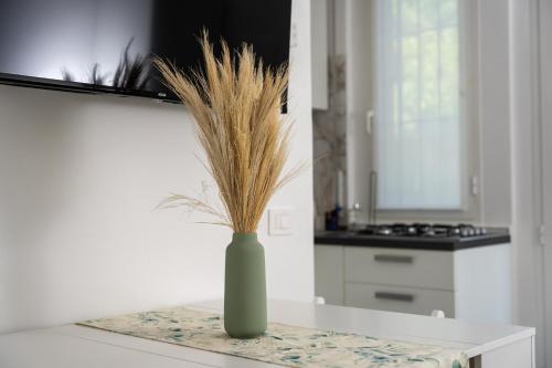 un vaso verde con dell'erba dentro su un tavolo di Elegante appartamento piano terra a 200 mt dal mare a Cervia