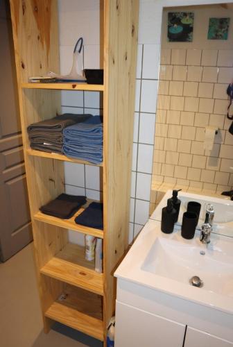 - une étagère en bois à côté d'un lavabo dans la salle de bains dans l'établissement charmant studio, à Montbéliard
