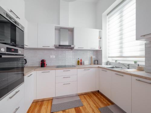 Kuchyň nebo kuchyňský kout v ubytování Alexandras Luxury Heaven