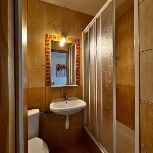 a bathroom with a sink and a toilet and a mirror at Pokoje u Hanki in Murzasichle