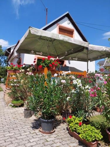 a house with a green umbrella and some flowers at Lonci apartman in Zalakaros