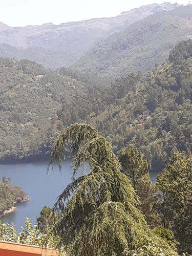 a tree in front of a view of a lake at Os Girassóis da Carla in Braga