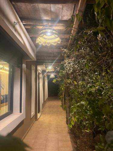a hallway of a building with plants and a chandelier at green eden palace in Marrakech