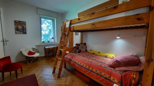 a bedroom with a bunk bed and a ladder at Le Passage Meublé de tourisme Trois Etoiles 1 à 6 voyageurs in Châtillon-sur-Chalaronne