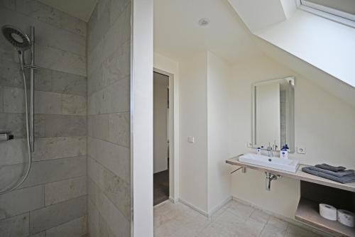 a bathroom with a shower and a sink at Modernes & gepflegtes Hotelzimmer mit Küche! in Bernstadt
