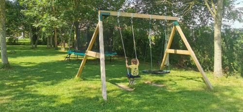 a young boy is playing on a swing at De Groene Hoeve in Brakel