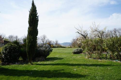 une cour herbeuse avec un arbre dans un champ dans l'établissement cottage blanchou, à Galapian