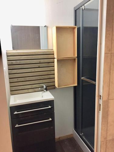 Il comprend une petite cuisine avec un évier et une douche. dans l'établissement Au bonheur des voyageurs, à Concarneau