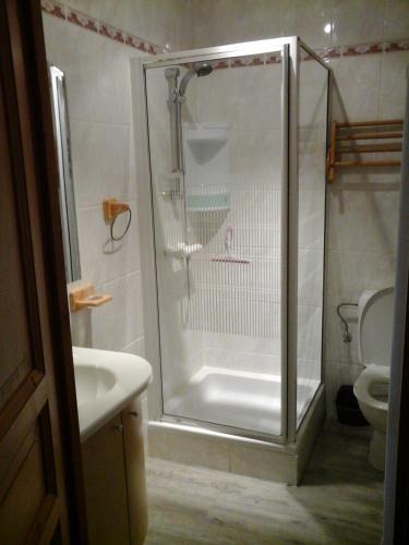 une salle de bain avec une douche, un lavabo et des toilettes dans l'établissement Les Jonquilles, à Gérardmer