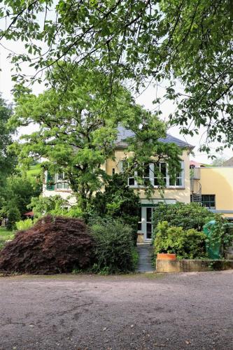 Κήπος έξω από το Saarwein Gut in Wiltingen