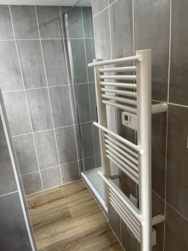 La salle de bains est pourvue d'une douche avec une étagère. dans l'établissement VERDI studio COSY au calme parking gratuit, à Chasse-sur-Rhône