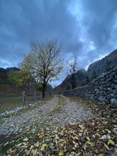 a dirt road with a stone wall and a tree at Guest House Kollata in Vusanje