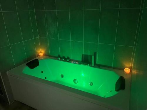 a green bath tub in a green tiled bathroom at BACH studio BALNEO au calme parking gratuit in Chasse-sur-Rhône
