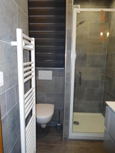 une salle de bain avec une douche, des toilettes et un lavabo dans l'établissement Les Edelweiss, à Gérardmer