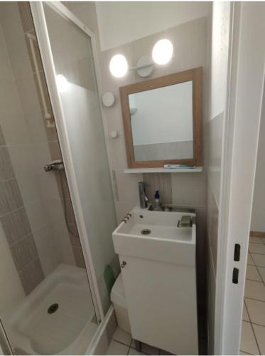 une salle de bain avec toilettes, lavabo et miroir dans l'établissement Rez-de-jardin climatisé, à La Londe-les-Maures