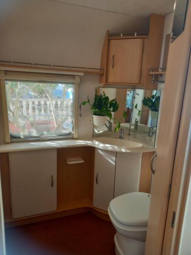 a bathroom with a toilet and a sink and a window at Acogedor y tranquilo in Marratxí 