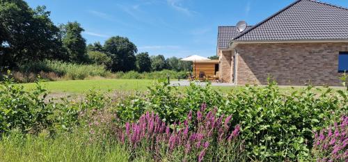 Κήπος έξω από το Ferienhaus Wiesenblume