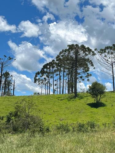 a group of trees on top of a green field at Chale com hidro na Serra da Mantiqueira in Sapucaí-Mirim