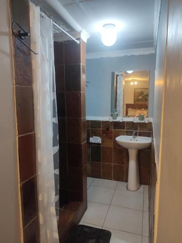 a bathroom with a sink and a shower at The Pink chair questhouse in Magaliesburg