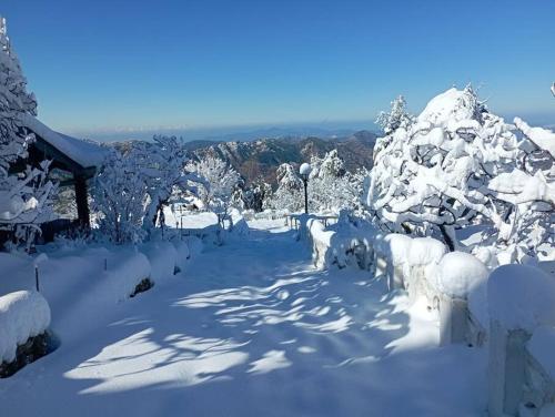 Billede fra billedgalleriet på Rose Studio Cottage at Mashobra's PrivateHeritage i Mashobra