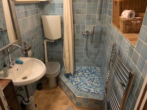 a blue tiled bathroom with a shower and a toilet at Seehaus Weiss in Rothenthurn